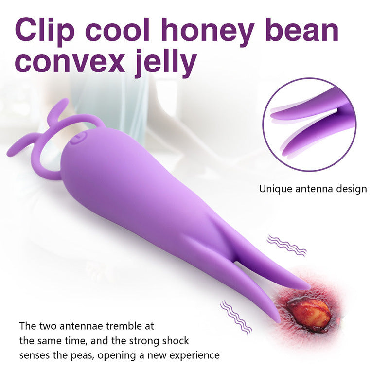 USB Rechargeable Silicone 10-Frequency Vibration Wireless Fun Vibrator