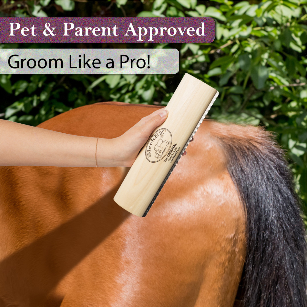 Horse/Dog Brush for Shedding and Grooming