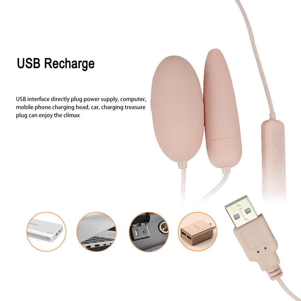 Dual Vibrator Remote Control Massage Vibrator Sex Toys