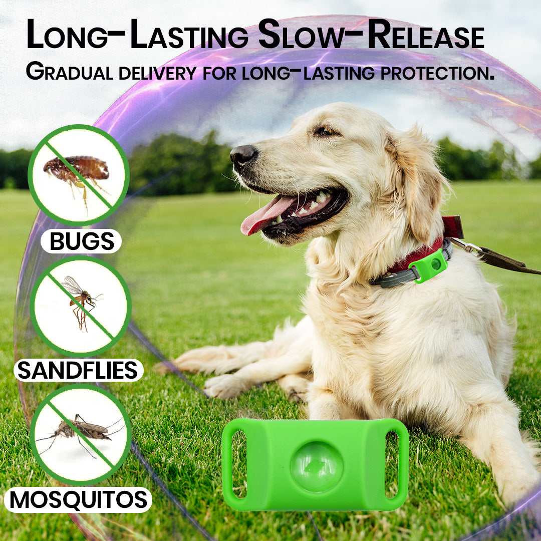 12 Months Bug Free Collar For Dogs