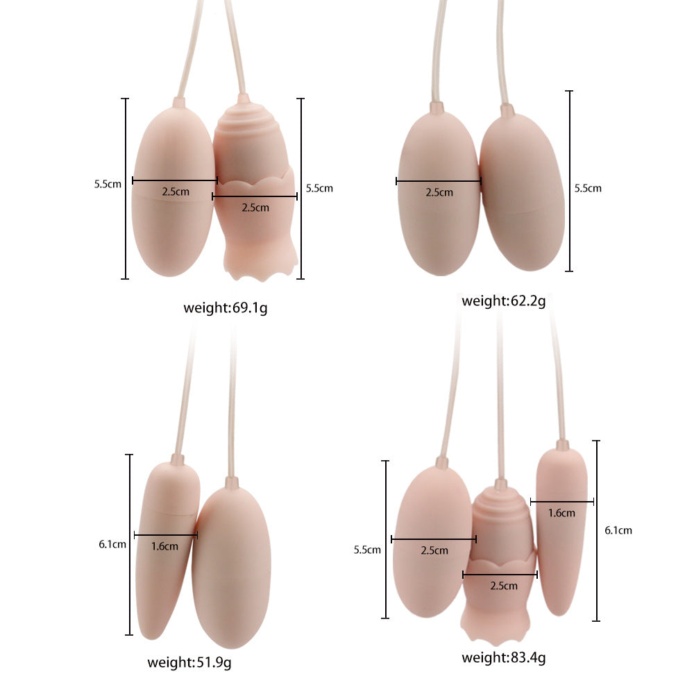 Dual Vibrator Remote Control Massage Vibrator Sex Toys