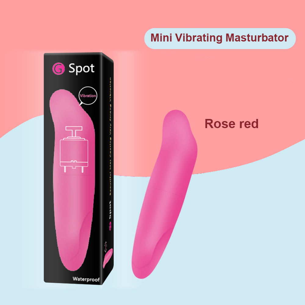 Dolphin Egg Vibrator & Mini Vibrator Vibration Stimulation