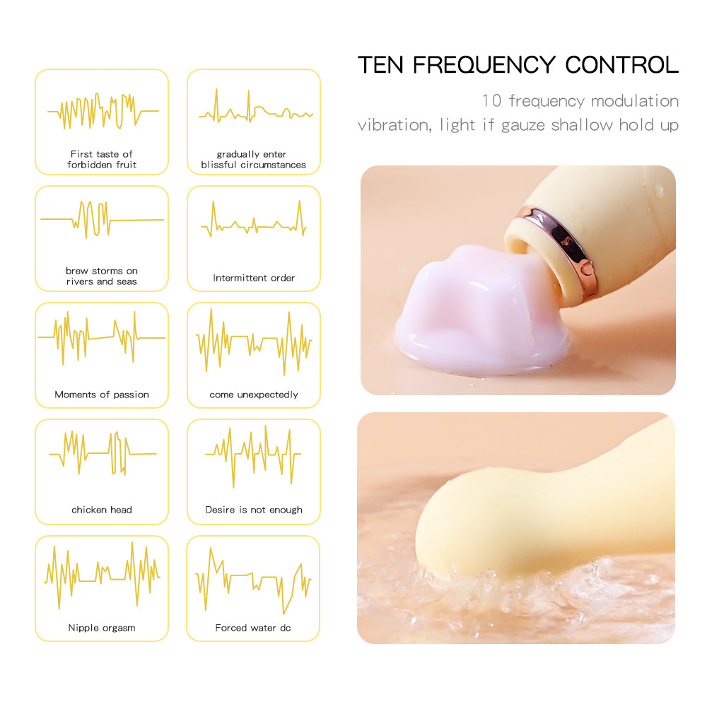 Double Head Vibration AV Vibrator