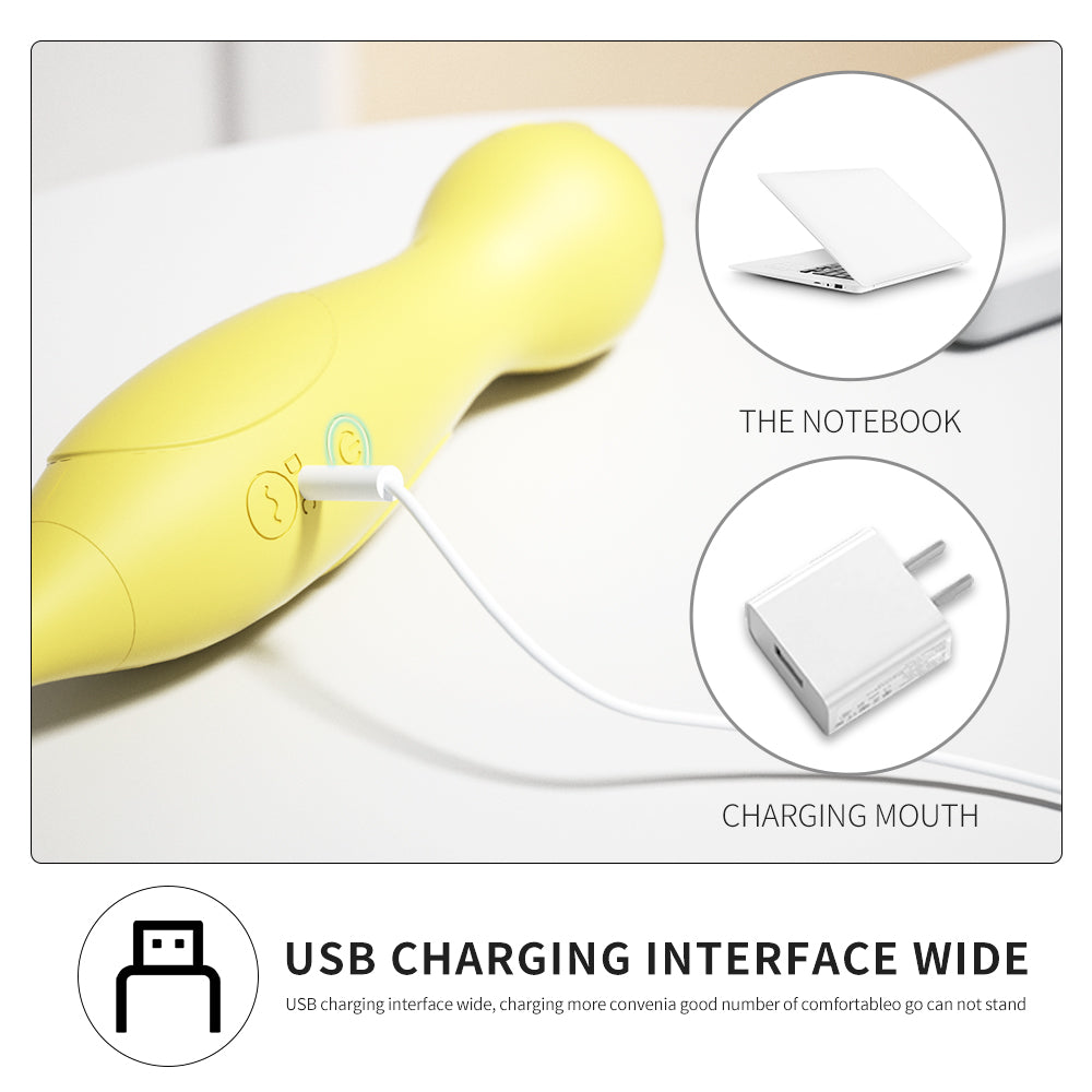 Double Head Vibration AV Vibrator