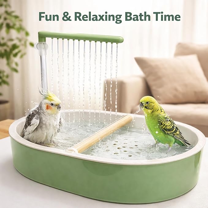 Indoor Bird Bath Fountain