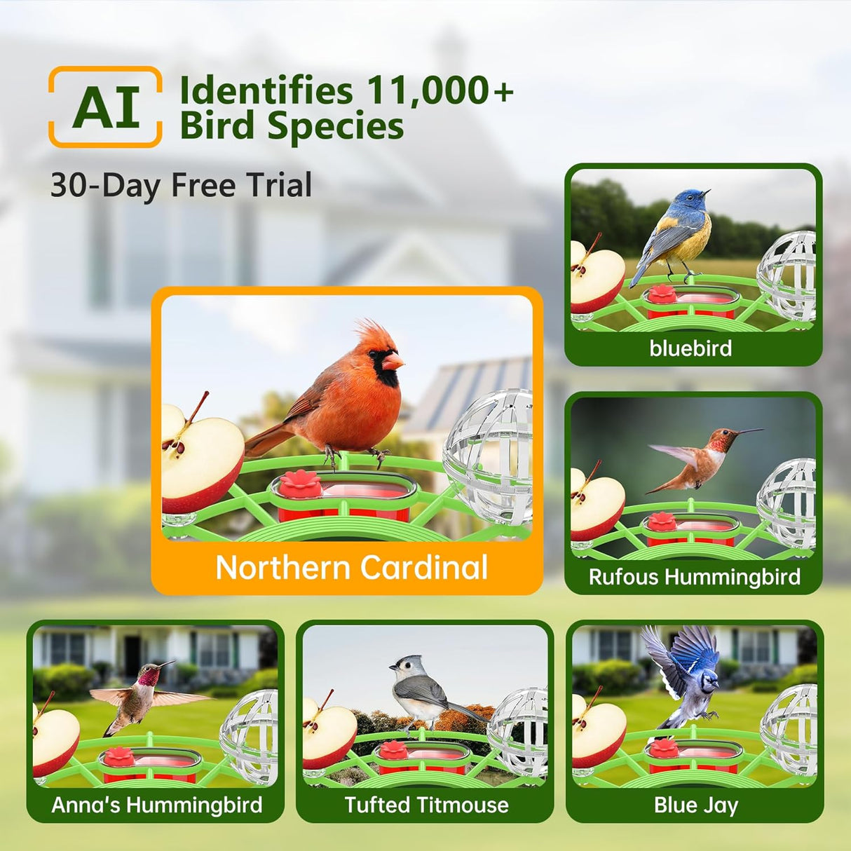 Centvicam Smart Bird Feeder with Camera – 2K HD Live View