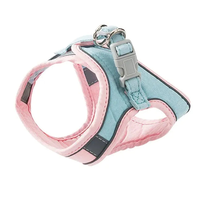 Night Reflective Pet Leash for Small Dogs & Cats