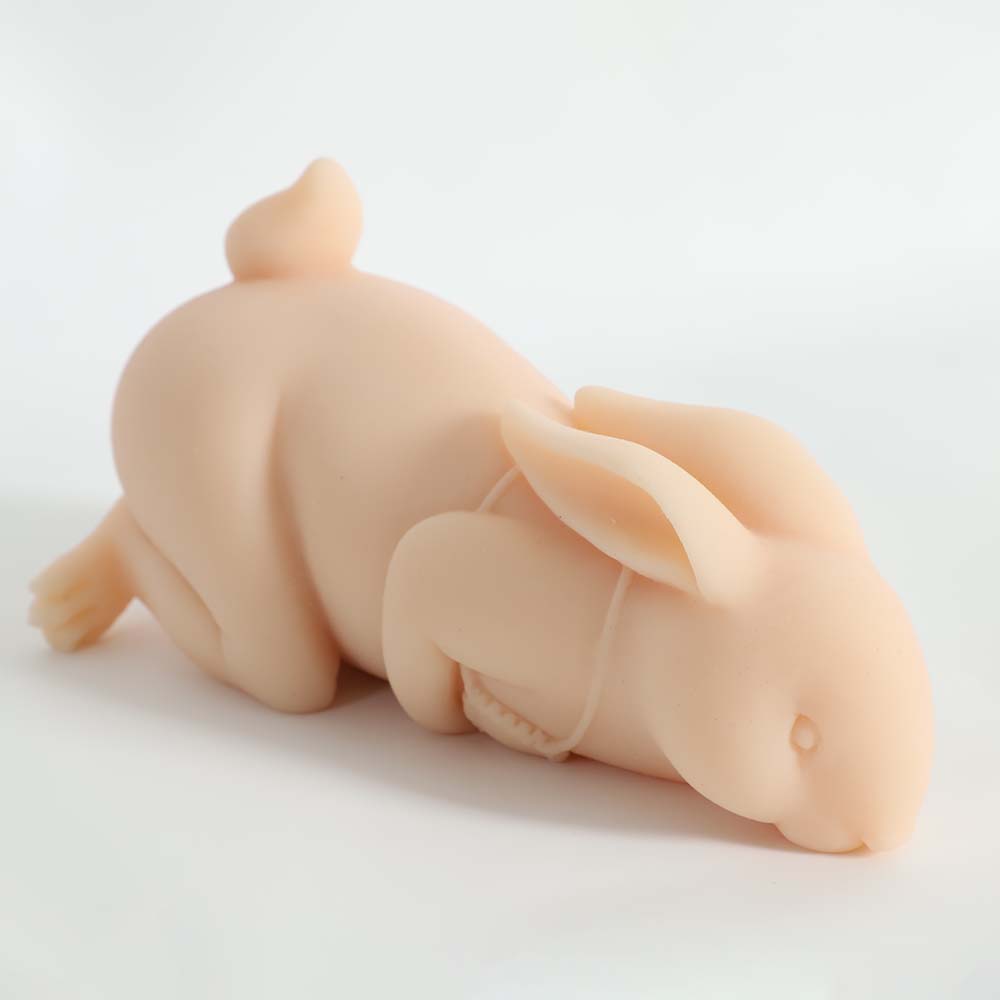 Portable Rabbit Pocket Pussy Realistic Textured Soft Dildo