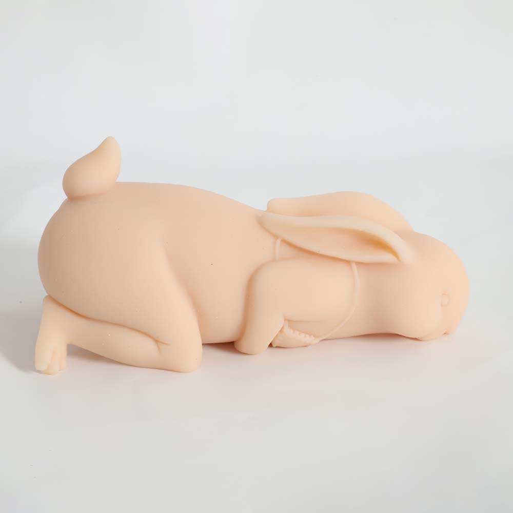 Portable Rabbit Pocket Pussy Realistic Textured Soft Dildo