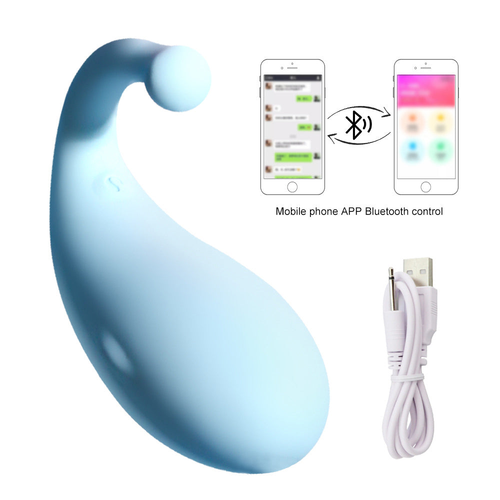 Long-Distance Remote Control Vibrating Egg Female Sex Toys