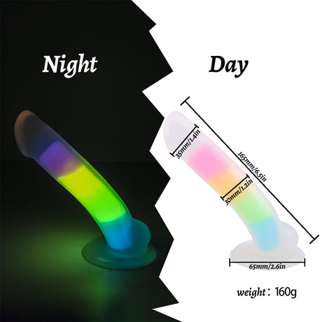 Rainbow Luminous Anal Plug Double Layer Silicone Dildo