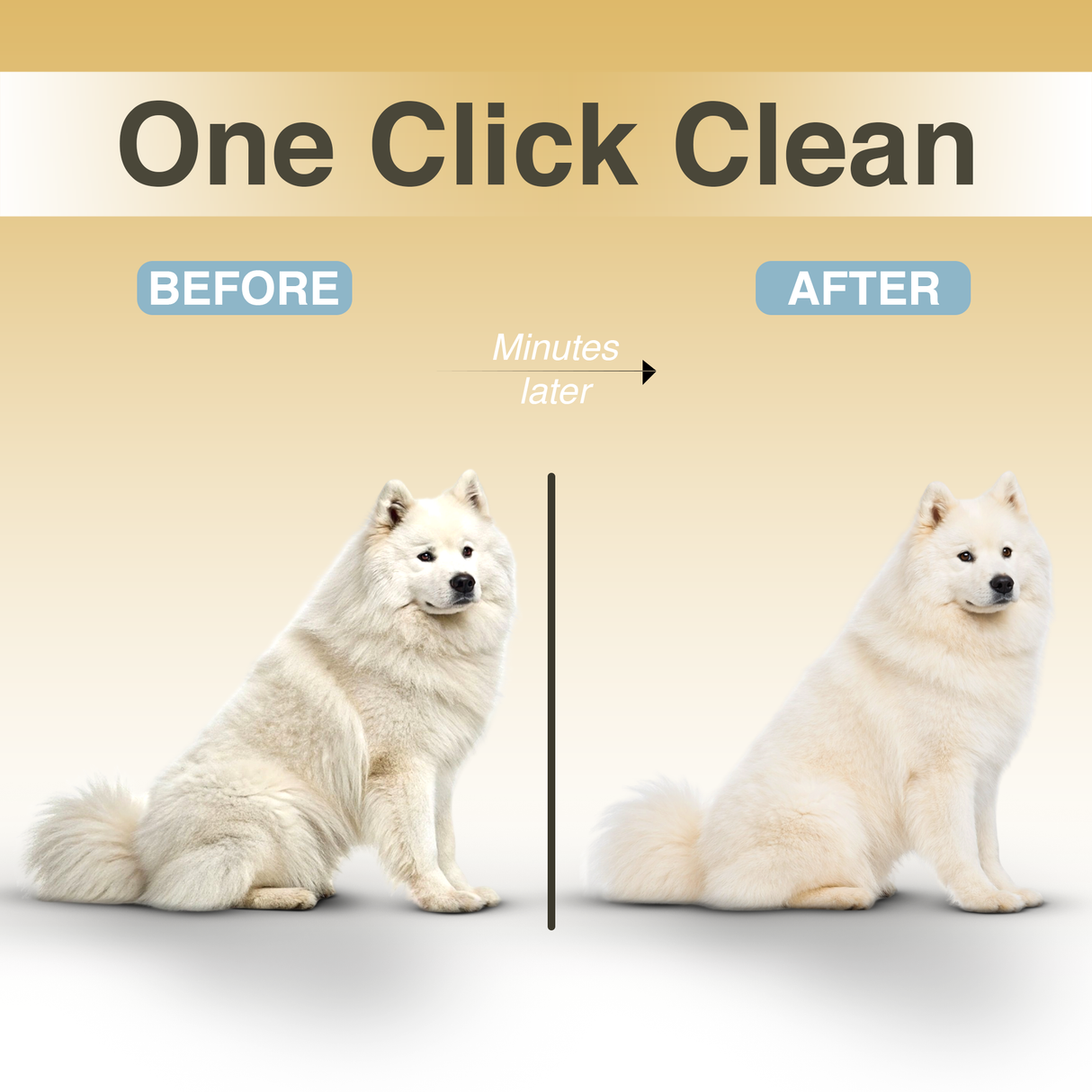 Vexroan Hydra Mist Self-Cleaning Brush
