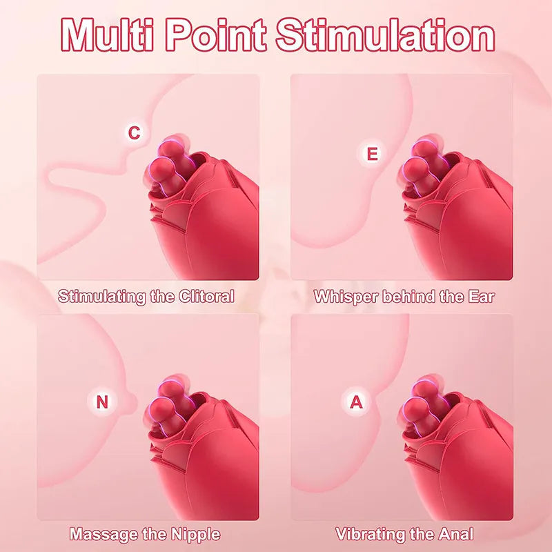 10 Modes Licking Vibrating Rose Nipple Vibrators For Women