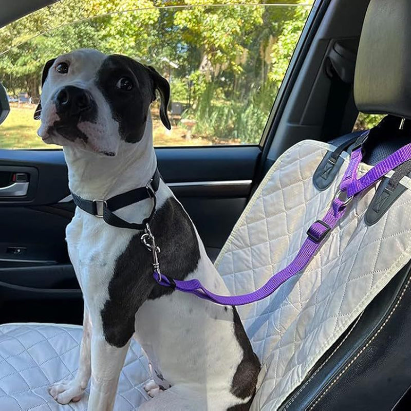 2-in-1 Dog Car Seat Belt & Walking Leash-BUY 1 GET 1 FREE