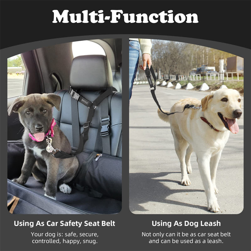 2-in-1 Dog Car Seat Belt & Walking Leash-BUY 1 GET 1 FREE