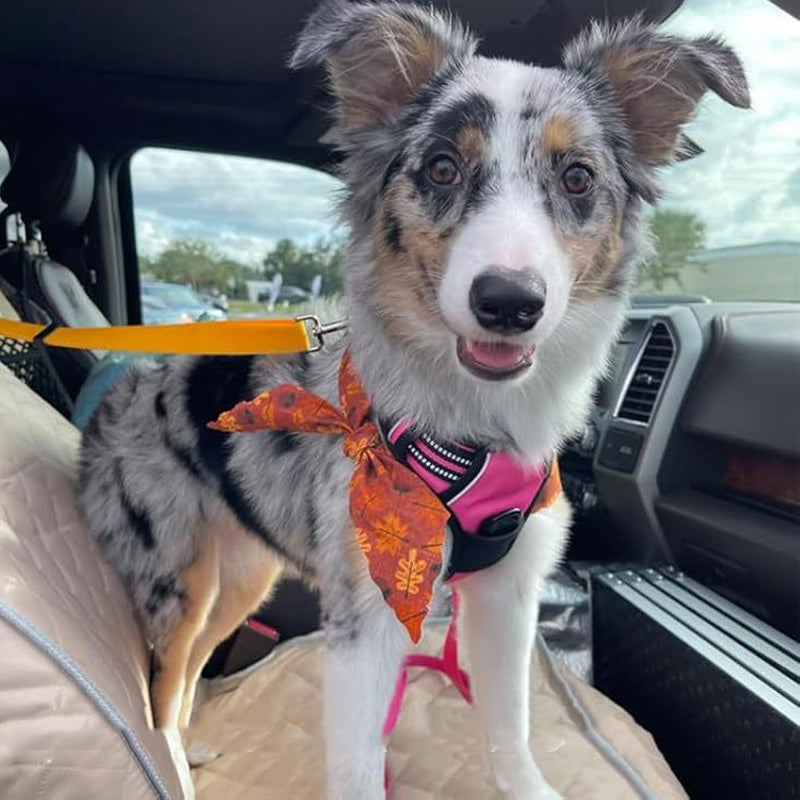 2-in-1 Dog Car Seat Belt & Walking Leash-BUY 1 GET 1 FREE