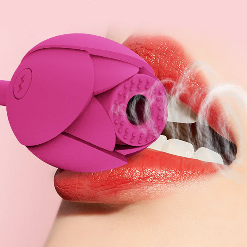 10 Frequency Rose Vibrator With Egg Vibrator Rose Sex Toy