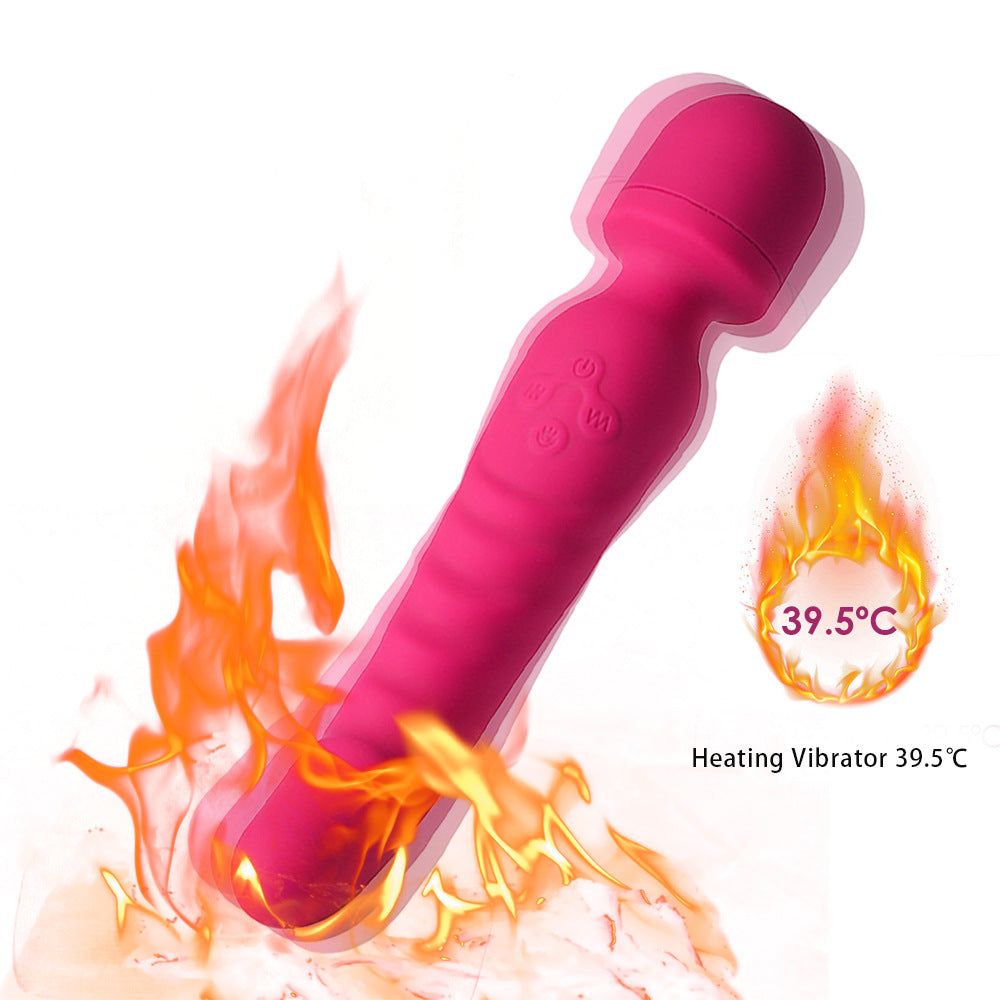 Double head vibrator double penetration vibrator