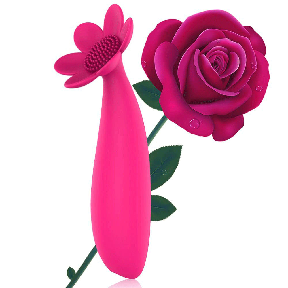 19 Vibration Flower Red Vibrator Waterproof Rechargeable Sex Toy