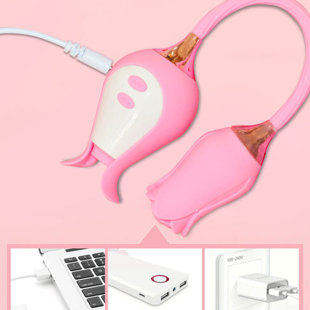 8 Vibrating & Sucking Rose Suction Vibrator with Vibrating Egg