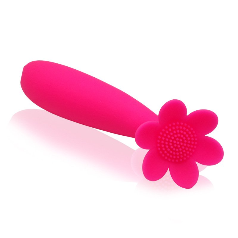 19 Vibration Flower Red Vibrator Waterproof Rechargeable Sex Toy