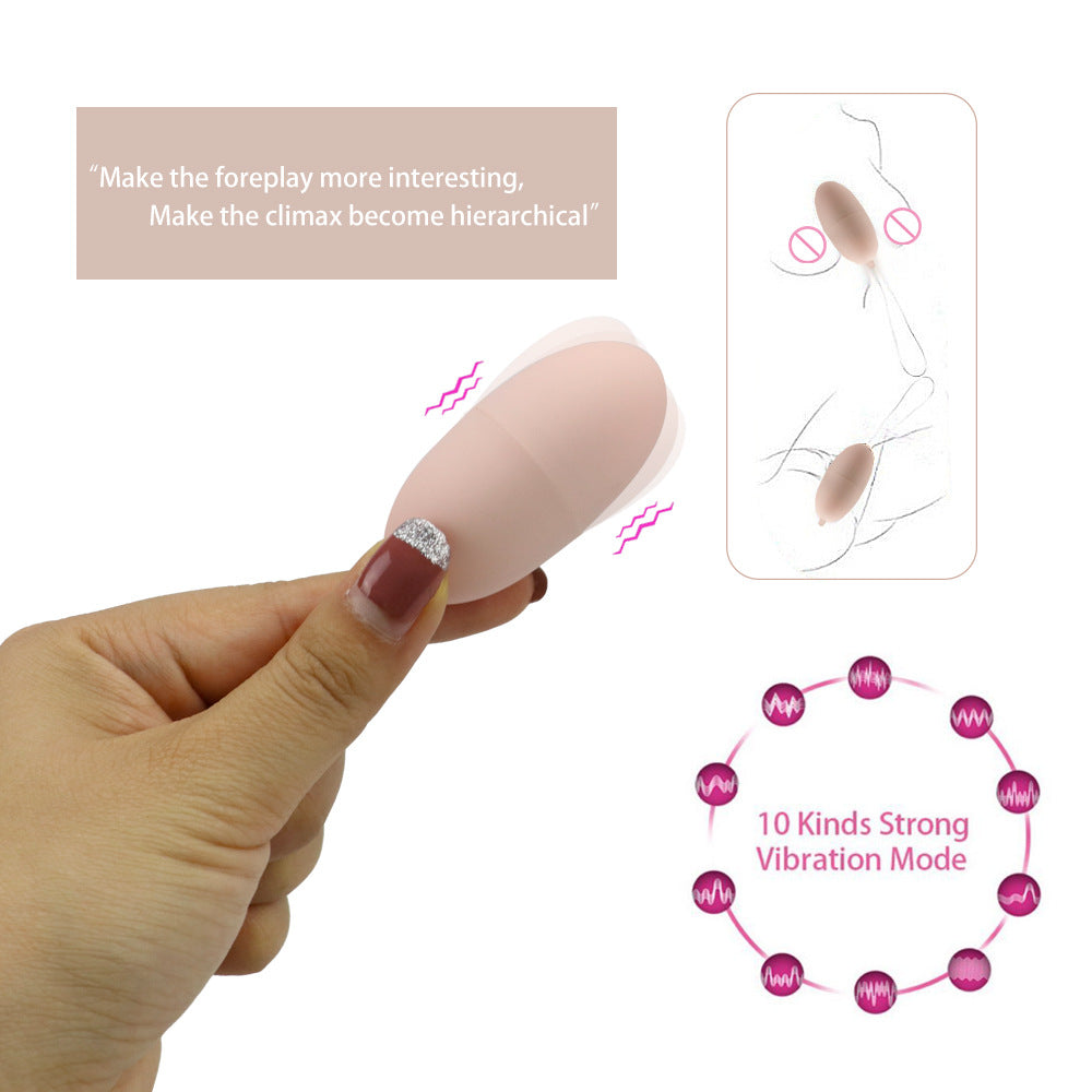 Dual Vibrator Remote Control Massage Vibrator Sex Toys