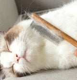Multifunctional Pet Hair Comb Flea and Tear Stain Removal 2 Pcs