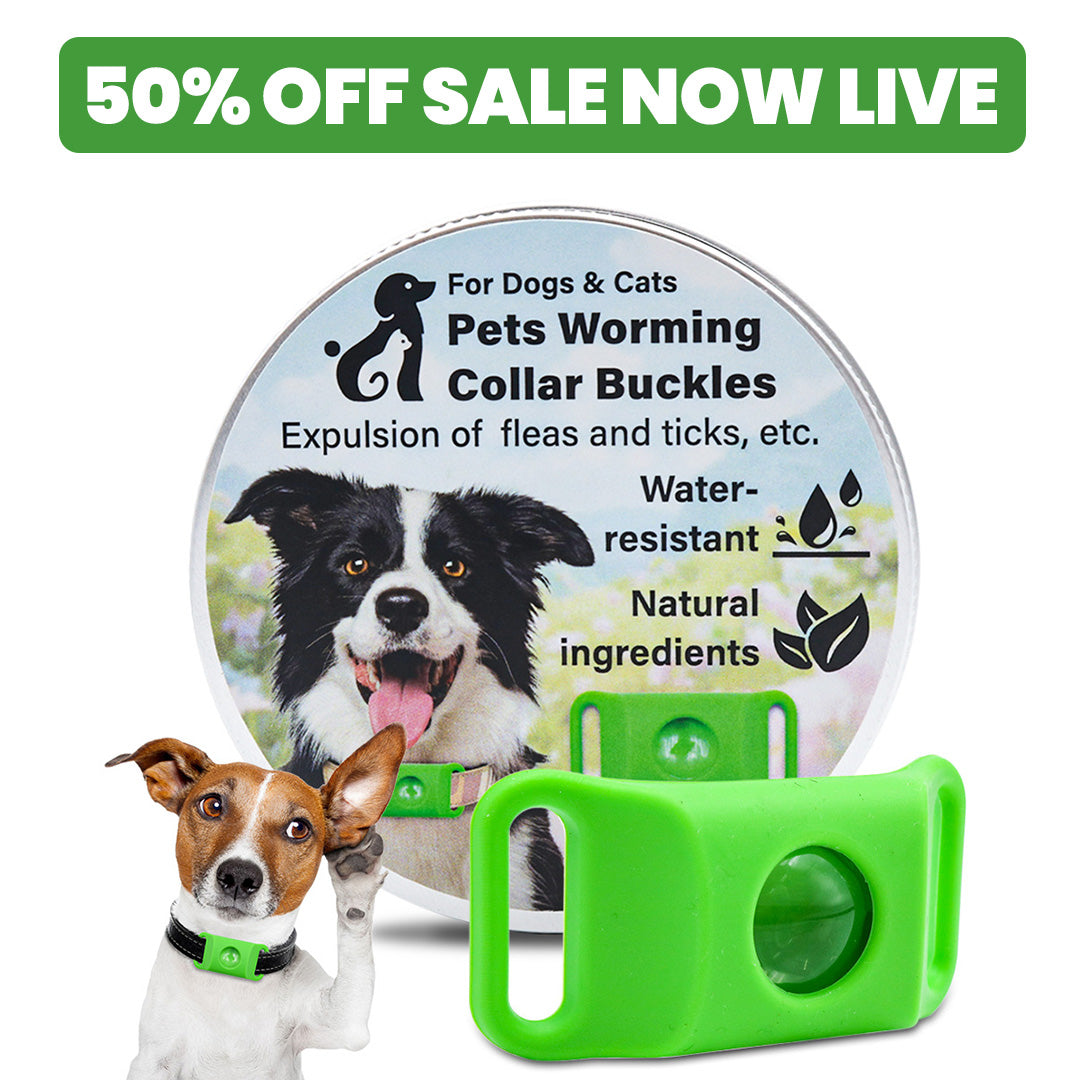 12 Months Bug Free Collar For Dogs