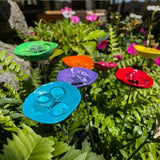 🔥Flash Sale: 49% OFF Sitewide! 🐝Bee Watering Station. 🦋Butterfly Puddler. Hummingbird Drinking Cups
