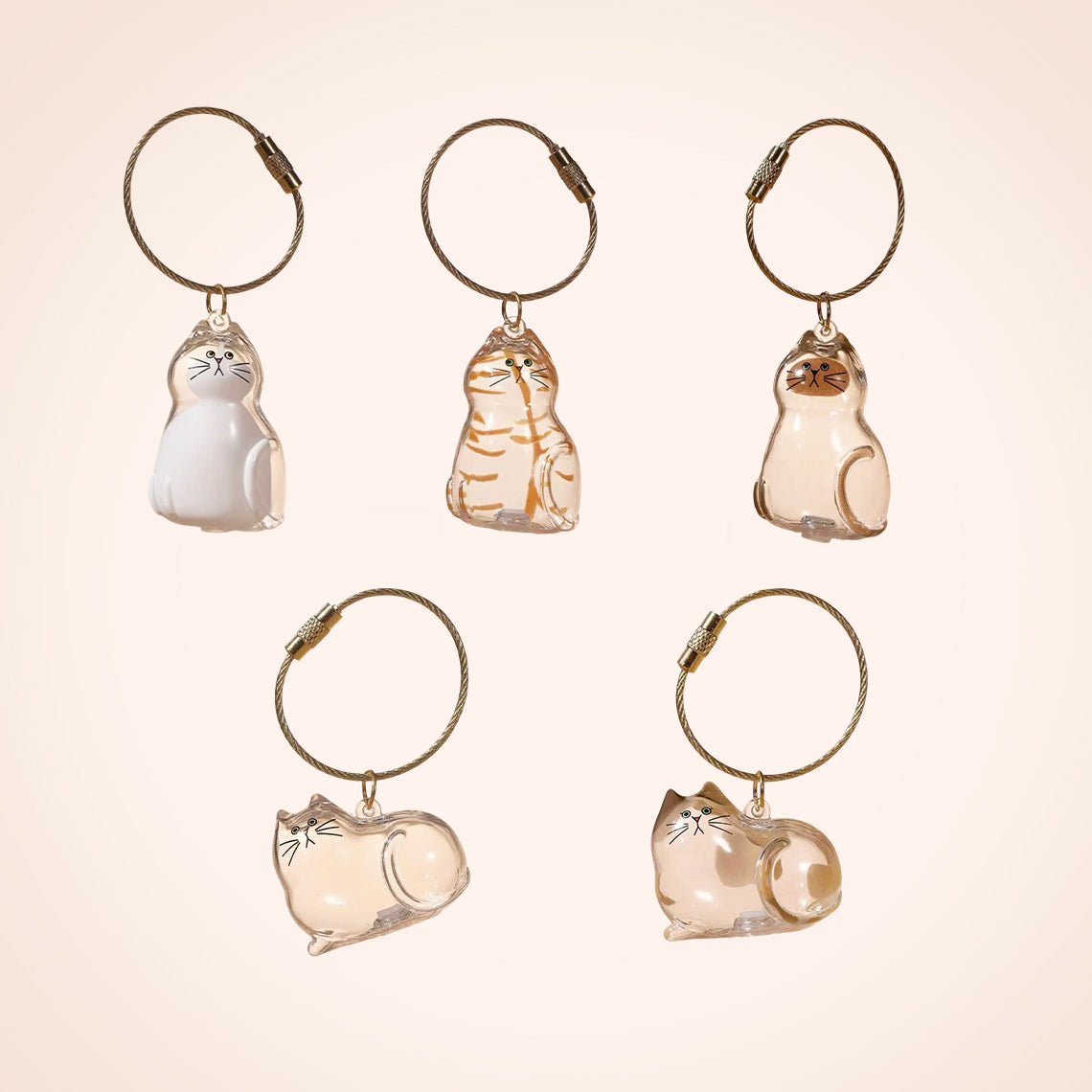 Pet Hair Keepsake Capsule Keychain for Cat & Dog Lovers -5Pcs