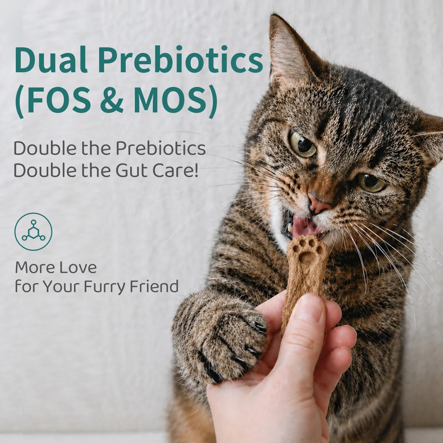 Hairball Control Freeze-Dried Cat Treats