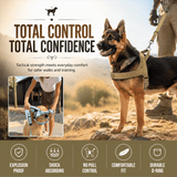 Chest Harness & Leash Set for Large Dogs