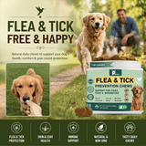 Dogs Flea and Tick Prevention Treatment Chewable