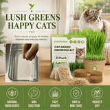 Organic Cat Grass Seeds