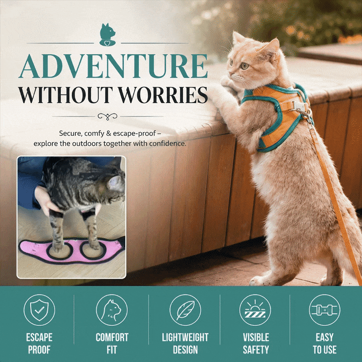 Night Reflective Pet Leash for Small Dogs & Cats