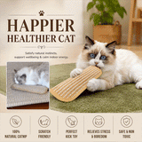 Catnip Chew Resistant Molar Pillow for Cats 2-Pack