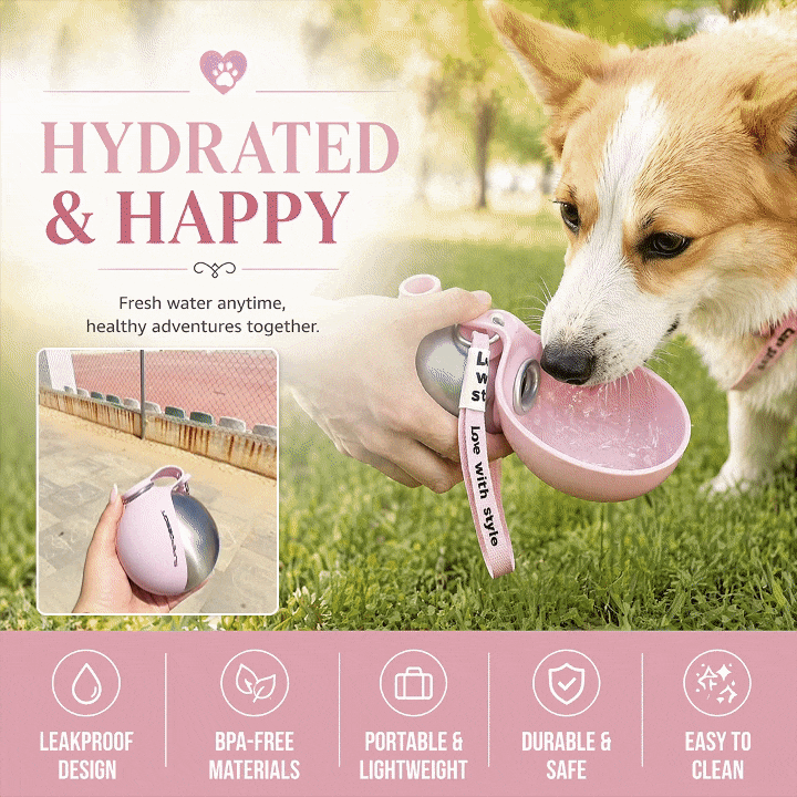 2-in-1 Portable Foldable 304 Stainless Steel Hook Water Feeder