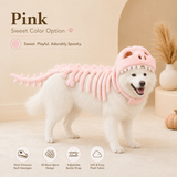 Glow Dinosaur Skeleton Pet Costume