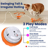 Rope Runner Interactive Squeaky Rechargeable Small Dog Ball & Rope Toy