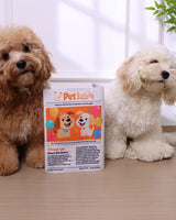 🔥2-Pack Bundle🔥 Newspaper Interactive Crinkle Dog Toy for Boredom Relief