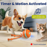 Rope Runner Interactive Squeaky Rechargeable Small Dog Ball & Rope Toy