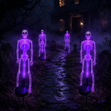 💀💜 Solar Skull Garden Stake Light