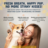 Pet Dental Tartar Care Spray for Dogs & Cats-2 PCS