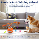 Rope Runner Interactive Squeaky Rechargeable Small Dog Ball & Rope Toy
