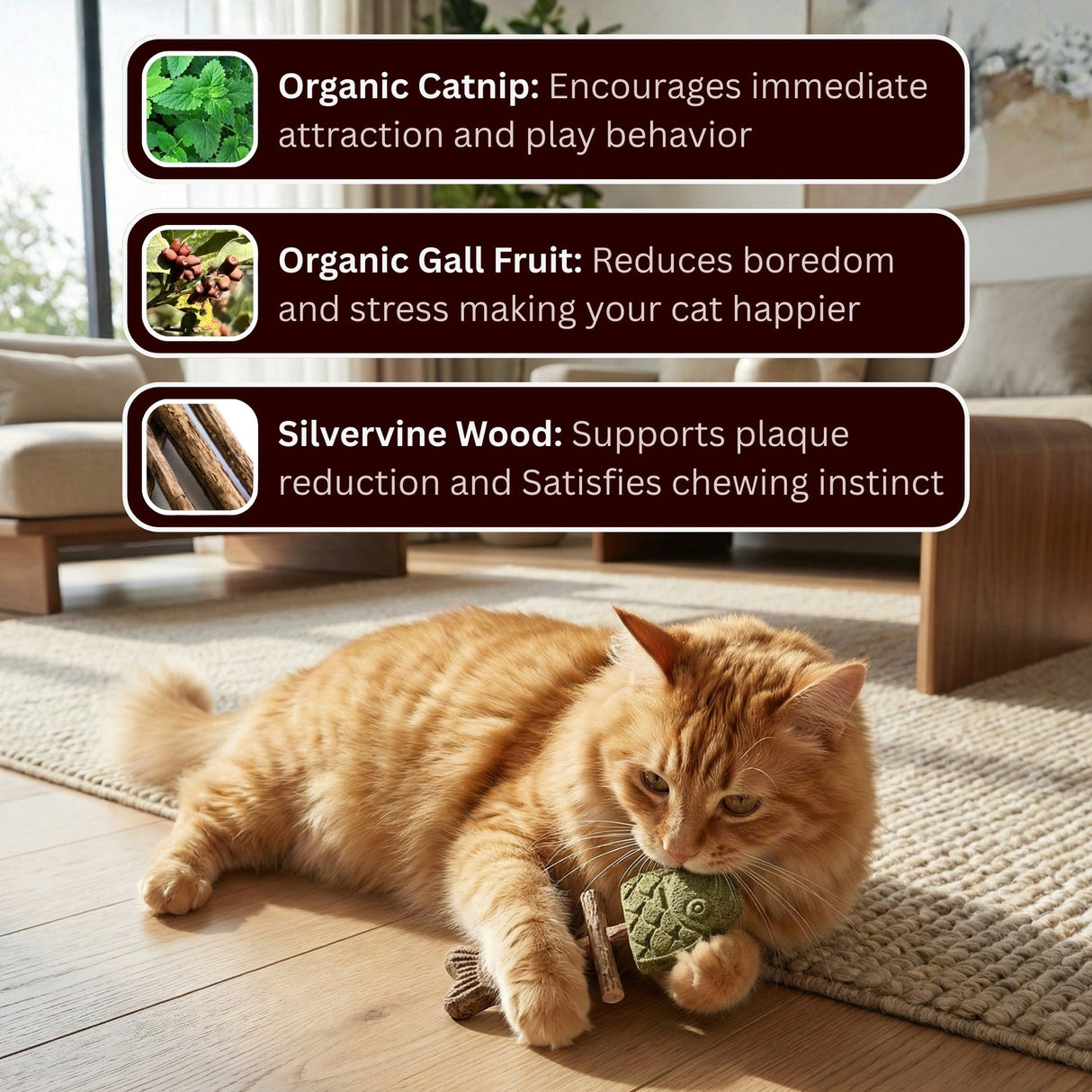 Catnip & Silvervine Chew-3 PCS