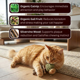 Catnip & Silvervine Chew-3 PCS