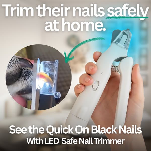Pet LED Nail Clippers - Safe Trimming for Dogs, Cats & Rabbits
