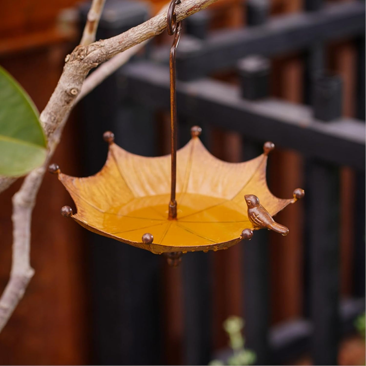 Hanging Bird Feeder & Bird Bath