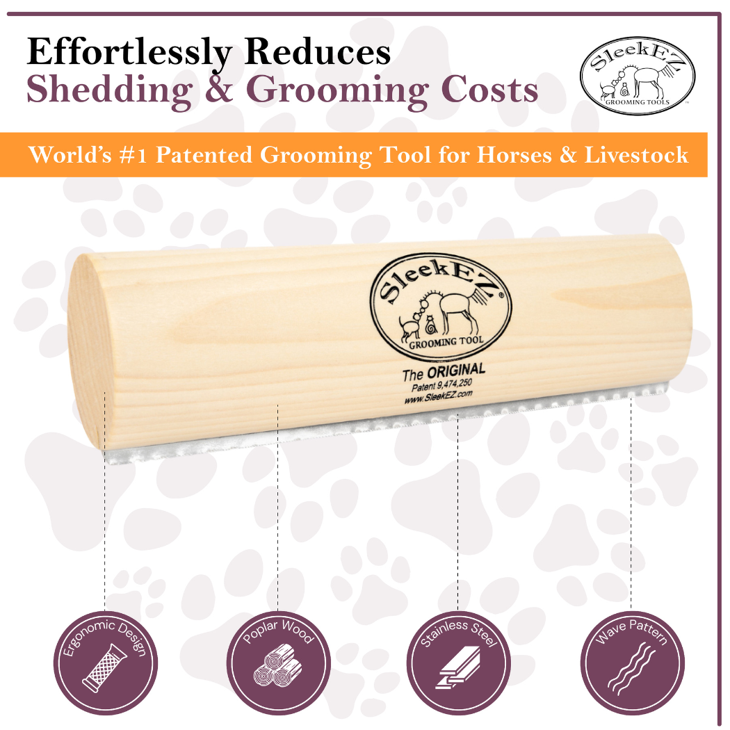 Horse/Dog Brush for Shedding and Grooming