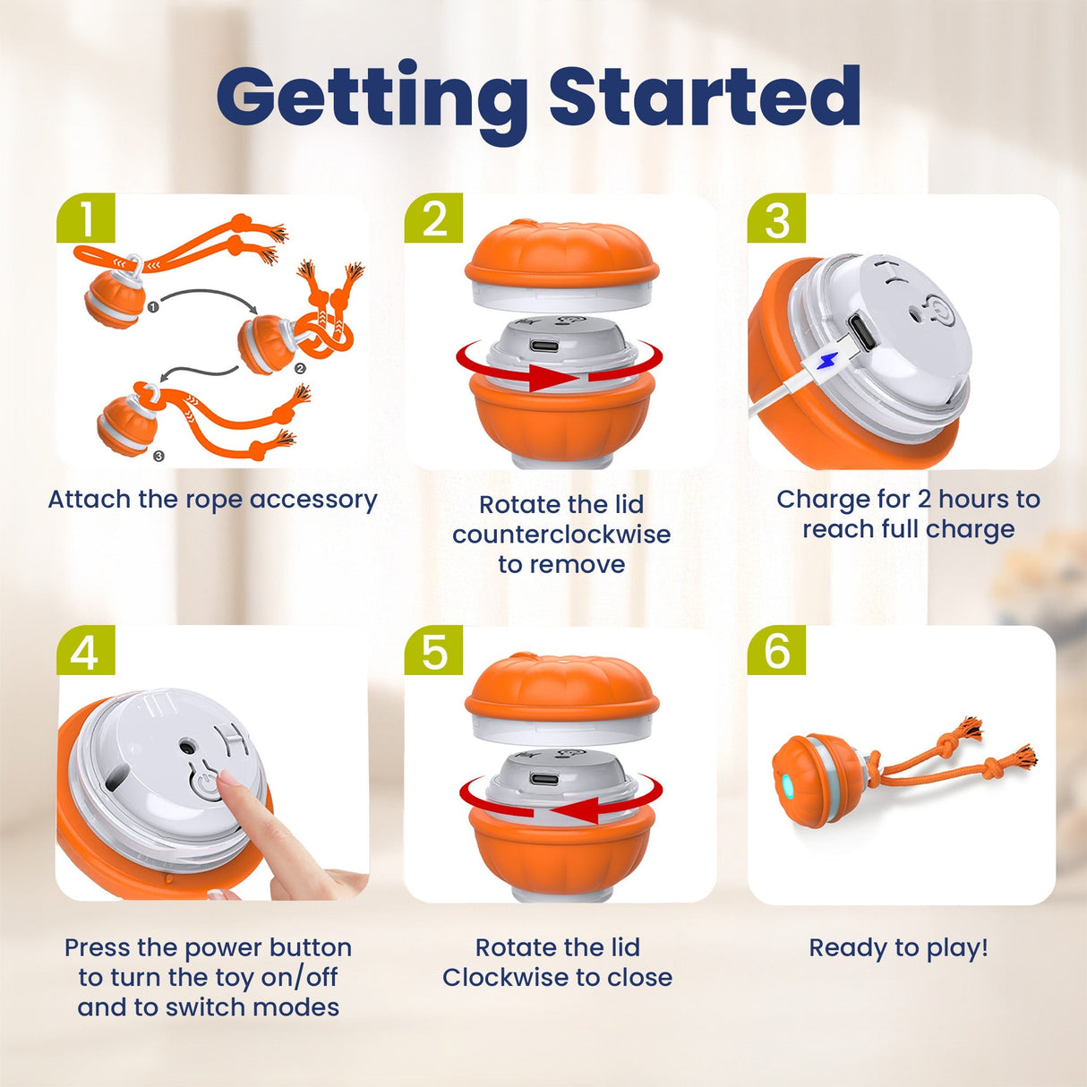 Rope Runner Interactive Squeaky Rechargeable Small Dog Ball & Rope Toy